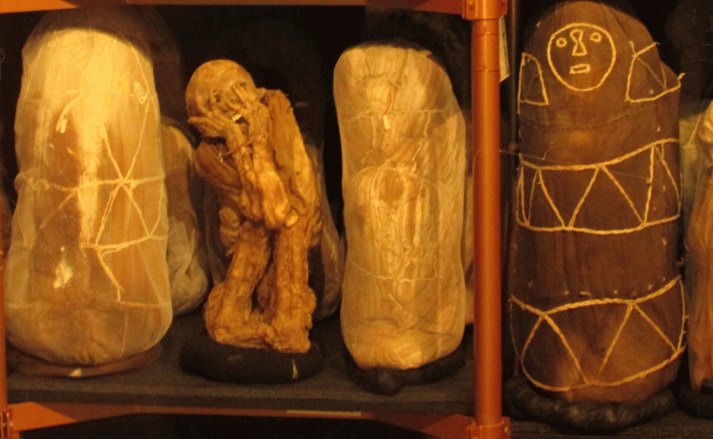 Mummy Museum, rural tourism Northern Peru