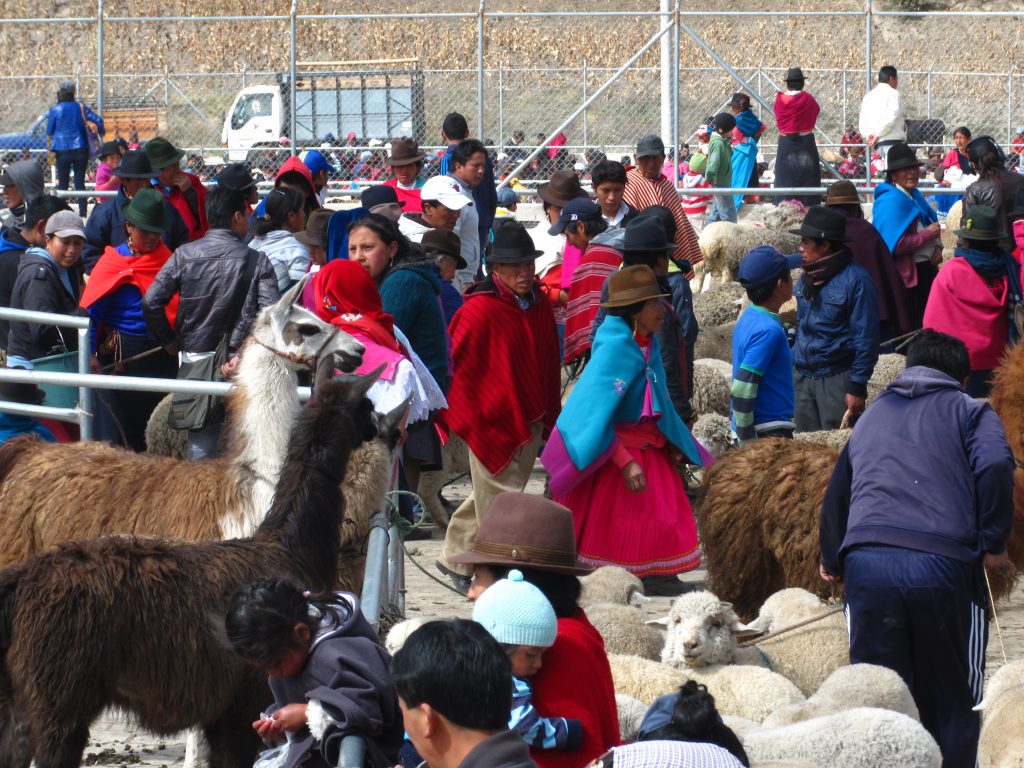 Viehhandel Ecuador